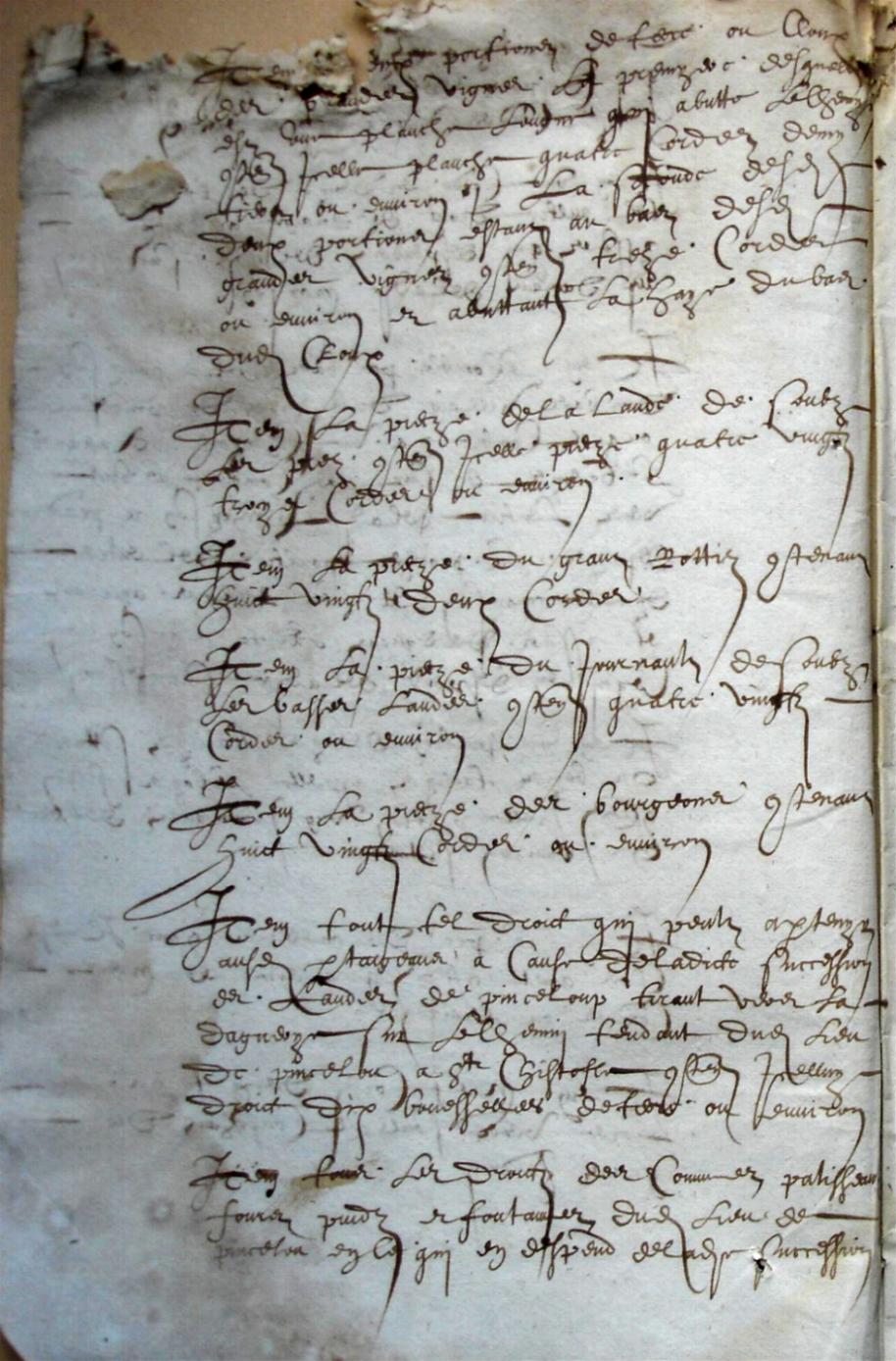 Cohon-G_1615 (4).JPG